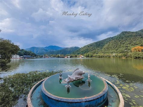 龜穴|鯉魚潭.虎頭山鯉魚潭步道－艾爾頓遊記｜痞客